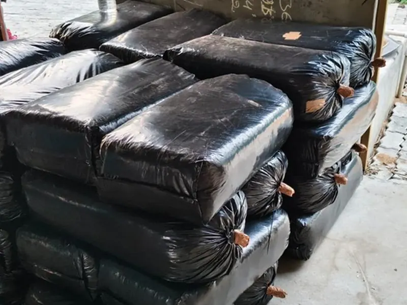 Prakriti Gold Super Napier Silage